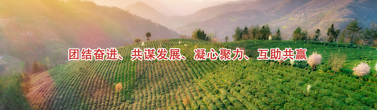 团结奋进 共谋发展