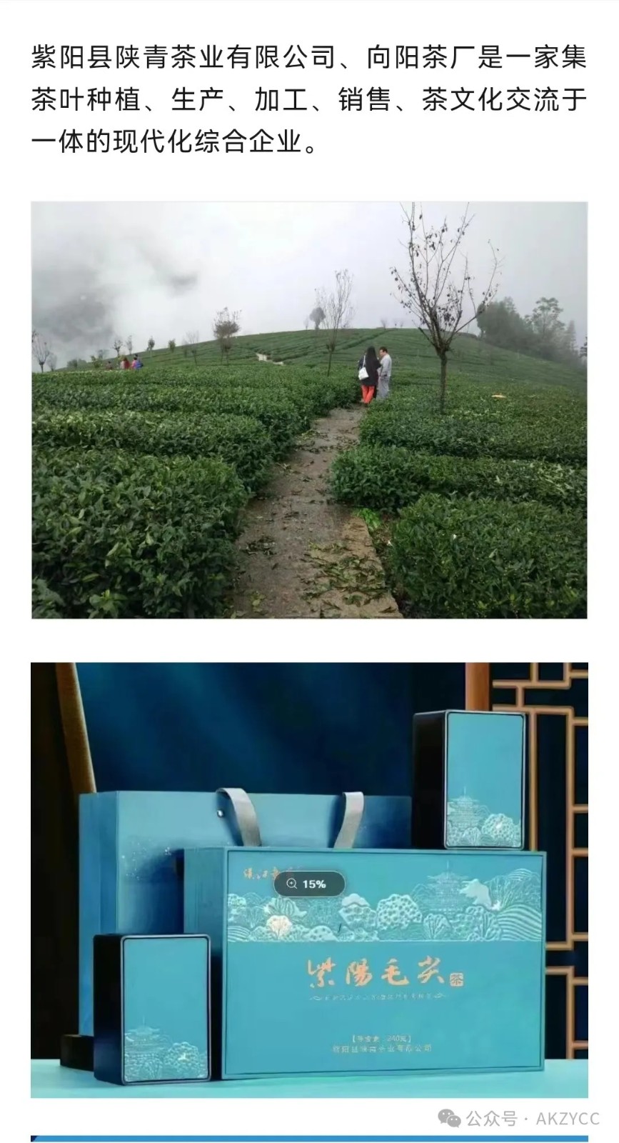 会员推荐---紫阳县陕青茶业有限公司董事长龚小利